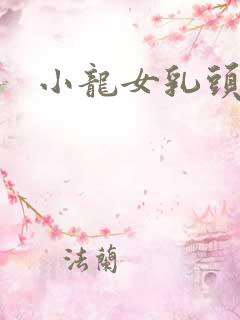 小龙女乳头