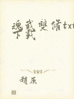 魂武双修txt下载