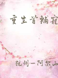 重生首辅宠青梅