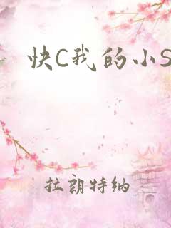 快C我的小SB