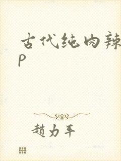 古代纯肉辣文np