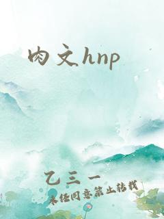 肉文hnp