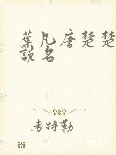 叶凡唐楚楚的小说名