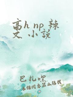 高h np 辣文 小说