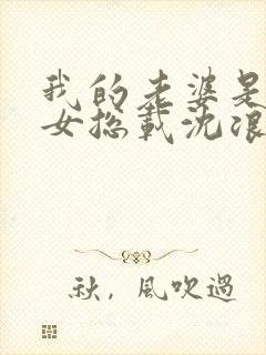 我的老婆是冰山女总载沈浪