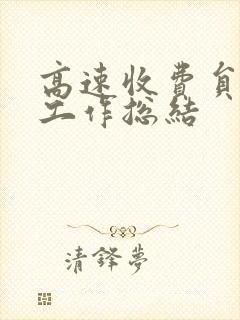高速收费员年终工作总结