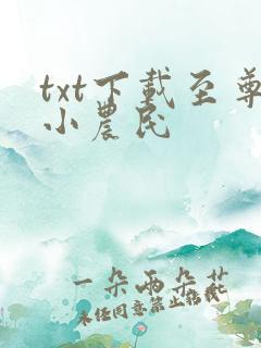 txt下载至尊小农民