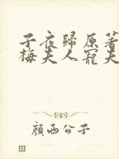 子夜归原著小说梅夫人宠夫日常