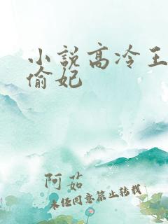 小说高冷王爷俏偷妃