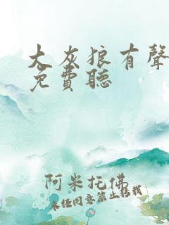 大灰狼有声小说免费听
