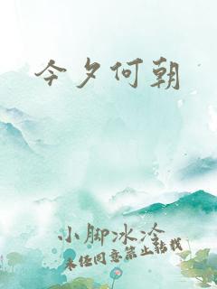 今夕何朝