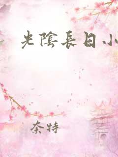 光阴长日小说