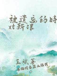 被遗忘的时光txt新浪