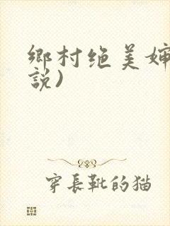 乡村绝美婶(小说)