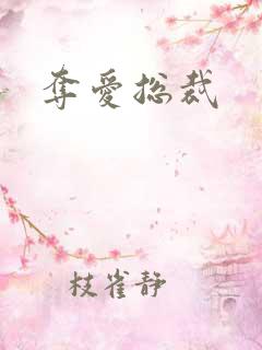 夺爱总裁