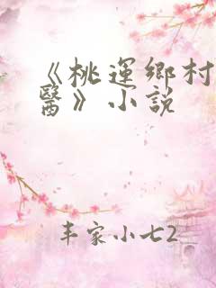 《桃运乡村小神医》小说