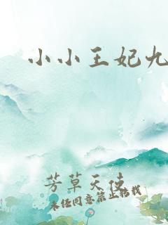 小小王妃九岁半