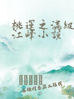 桃运之满级医圣江峰小说