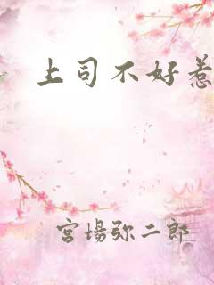 上司不好惹