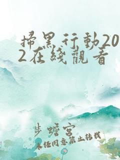 扫黑行动2022在线观看