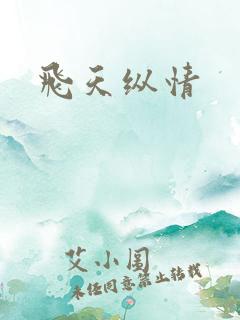 飞天纵情