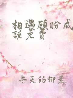 相遇顾盼成欢小说免费