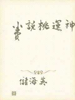 小说桃运神医免费