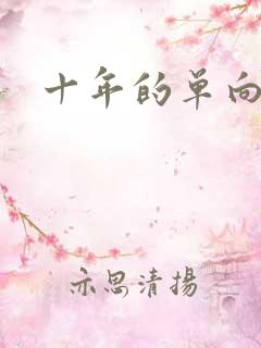 十年的单向奔赴
