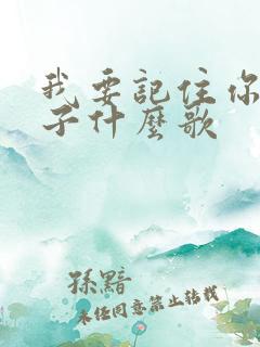 我要记住你的样子什么歌