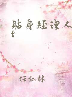 贴身经理人txt