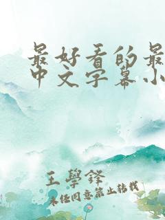 最好看的最新的中文字幕小说