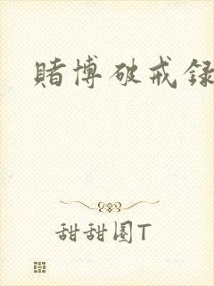 赌博破戒录op
