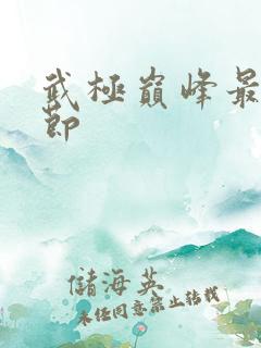 武极巅峰最新章节