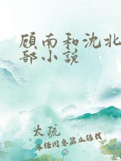 顾南和沈北是哪部小说