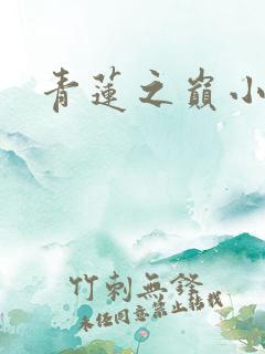 青莲之巅小说
