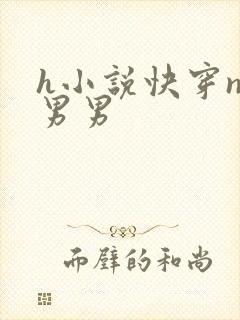 h小说快穿np男男