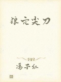 狼穴尖刀