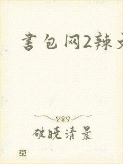 书包网2辣文