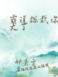 霸道总裁你的太大了