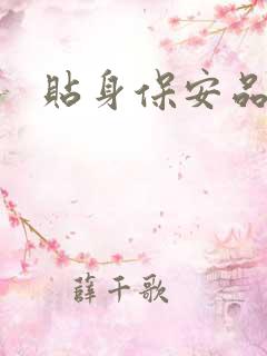 贴身保安品书网