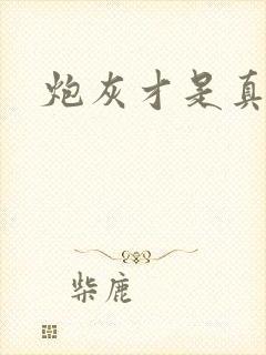 炮灰才是真绝色