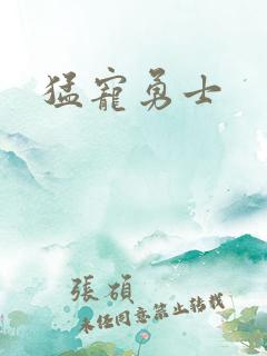 猛宠勇士