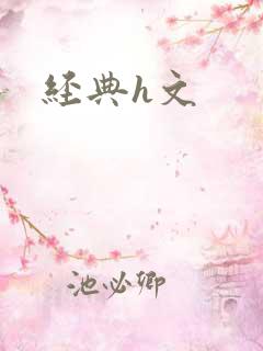 经典h文