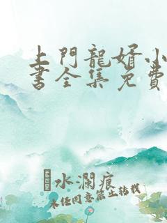 上门龙婿小说听书全集免费