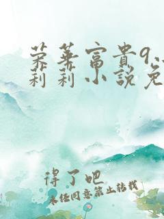 荣华富贵9小王莉莉小说免费阅读