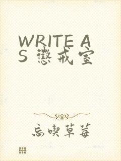 WRITE AS 惩戒室