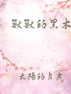 兽兽的黑木耳