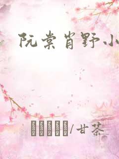 阮棠肖野小说