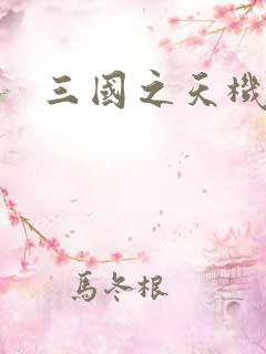 三国之天机军师