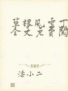 草根风云丁长生全文免费阅读